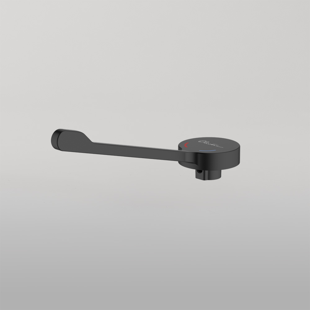 Venice Care Handle Pin Lever For Wall Mixers Matte Black