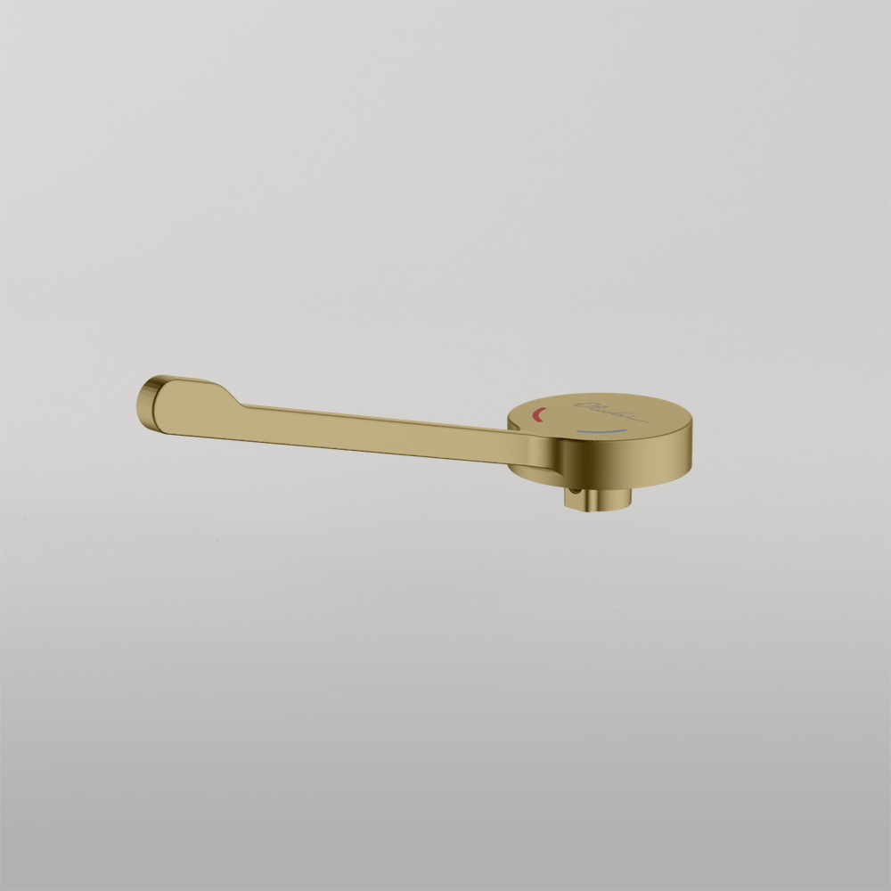 Venice Care Handle Pin Lever For Wall Mixers Classic Gold