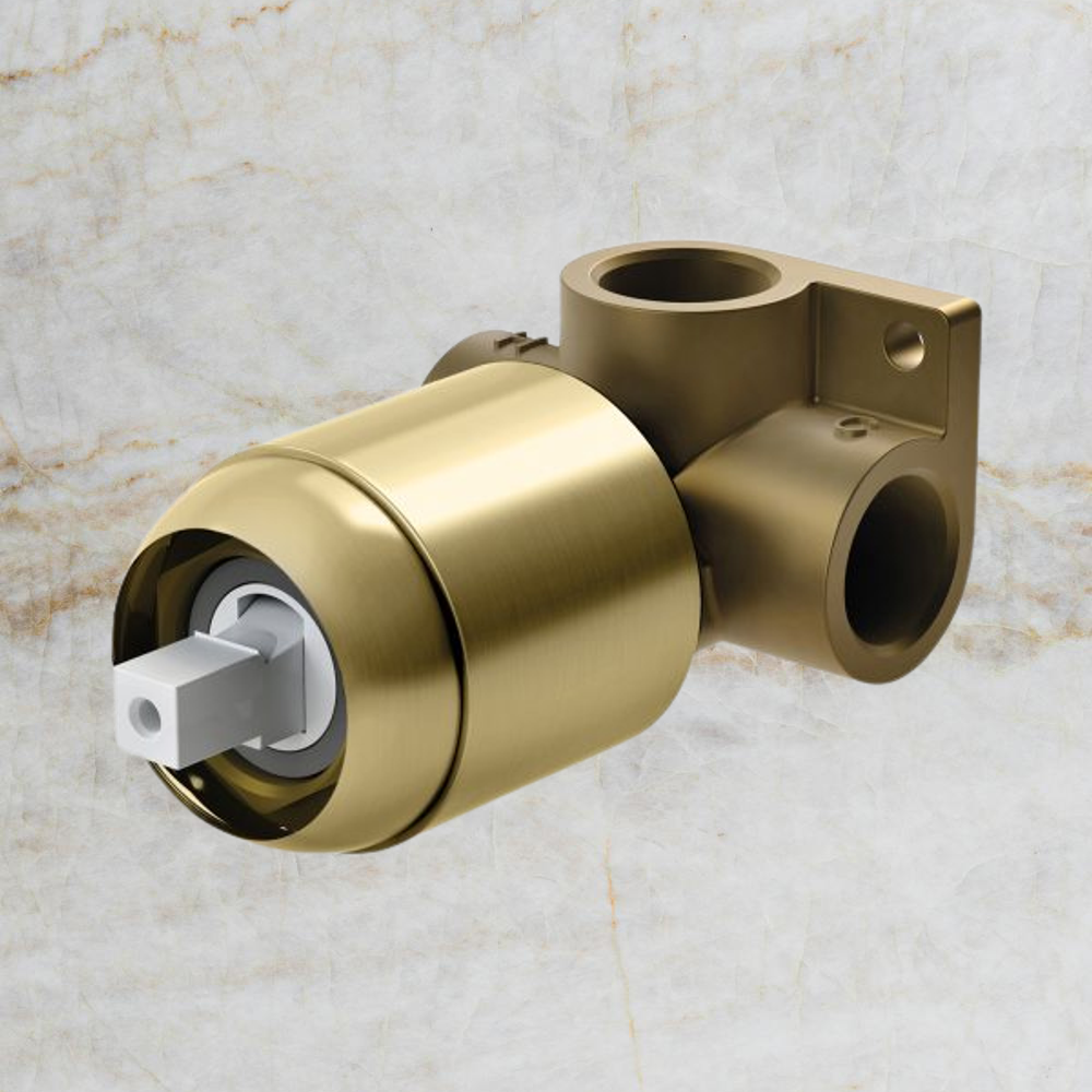 Builders Shower / Wall Mixer Body Only Brushed Gold