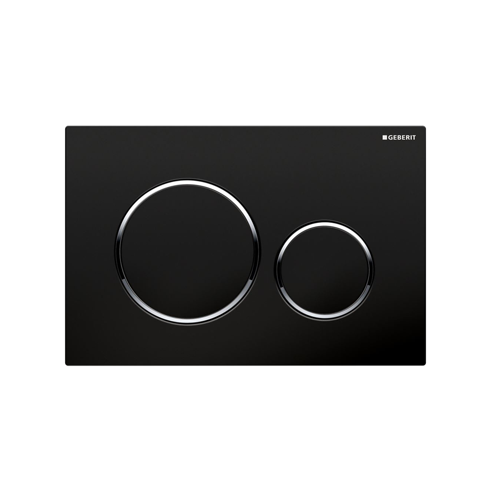 Concealed Cistern Flush Plate With Round Buttons Black